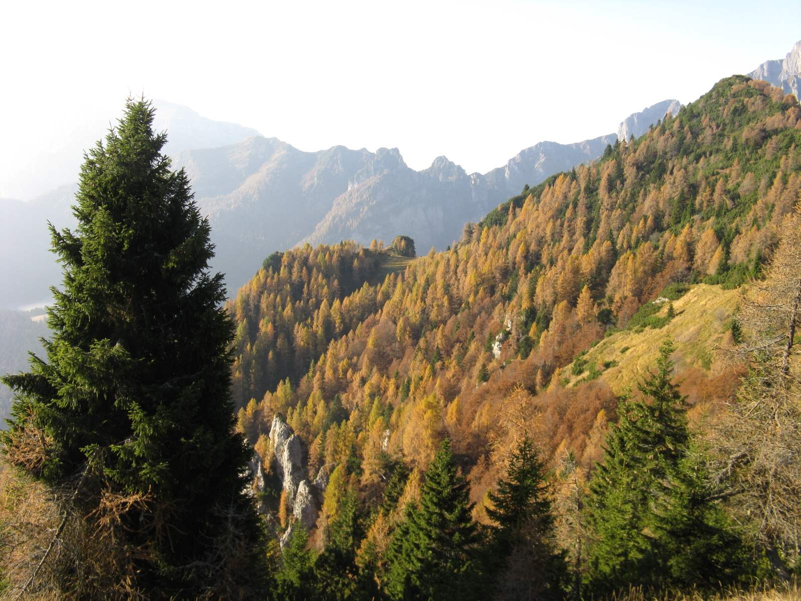 Cimon de Cajada: sulle tracce dei camosci.